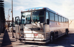 greyhound2[1].jpg